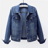 Ladies Denim Jacket 2025 Spring Autumn Fashion Long-Sleeve Women Cowboy Outerwear Elegant Single-Breasted Female Jeans Coat