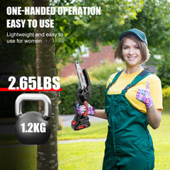Feytory 6" Chainsaw with 2 Batteries, Cordless Electric Chainsaw with 21V, 2 Chains for Wood Cutting Tree Trimming Gardening, Re